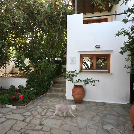 Anemoesa Apartment Batsi Exterior foto
